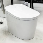 Smart Toilet