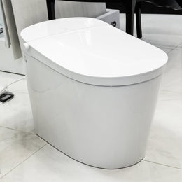 Smart Toilet