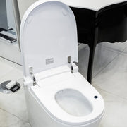 Smart Toilet