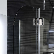 Fleurco Shower Door